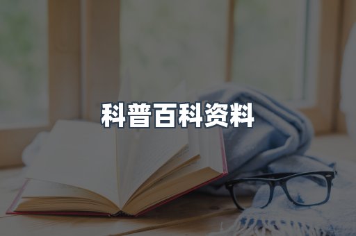 外文电子书系列